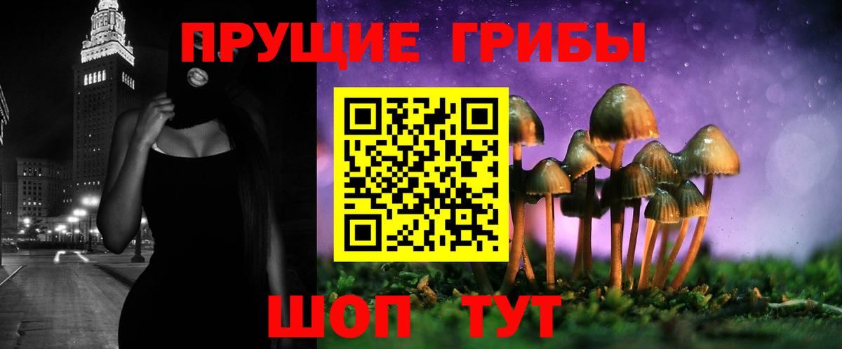 Галлюциногенные грибы Psilocybine cubensis  Галлюциногенные грибы Magic Shrooms  Вход с VPN  Новоалтайск 